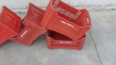 CASSETTE NUOVE PER UVA, FRUTTA , OLIVE, ORTAGGI