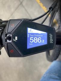 E bike Fulgor Mula
