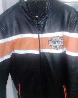 Giubbotto pelle Harley Davidson tgL