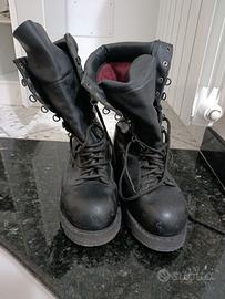 ANFIBI MATTERHORN AMERICANI 