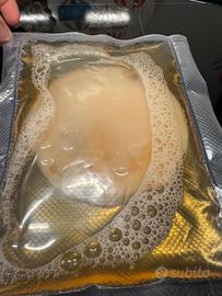 Scoby Kombucha con liquido starter + istruzioni