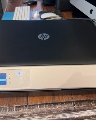 Stampante HP
