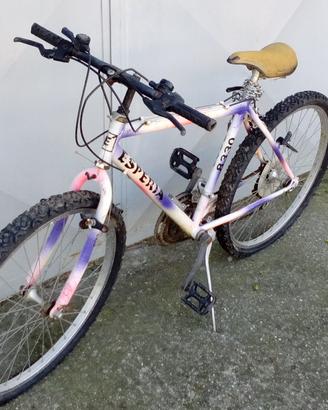 Mountain bike