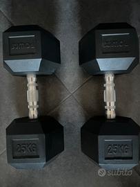 Manubri palestra 50 kg totali