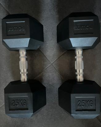 Manubri palestra 50 kg totali