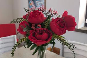Nel cuore di Follonica