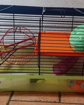 Gabbietta per criceto