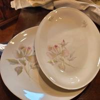 Servizio da tavola Mitterteich Bavaria