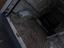 Immagine 24