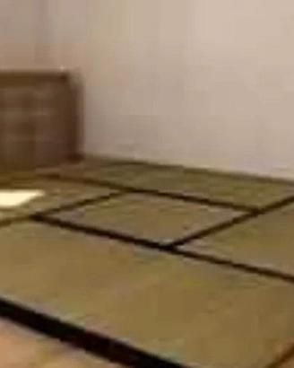 Tatami giapponesi