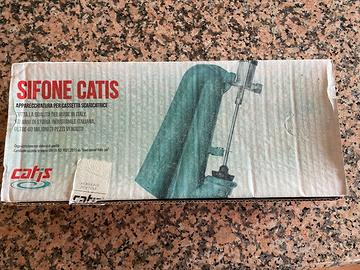 Sifone Catis