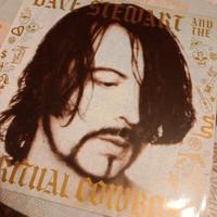 Vinile Dave Stewart and the spiritual cowboys