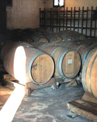 Botti in legno, barriques usate