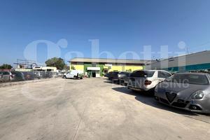 Magazzino Latina [Cod. rif 3332921ACG]