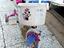 Immagine 2