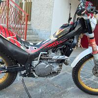 Montesa Cota 260 - 2013