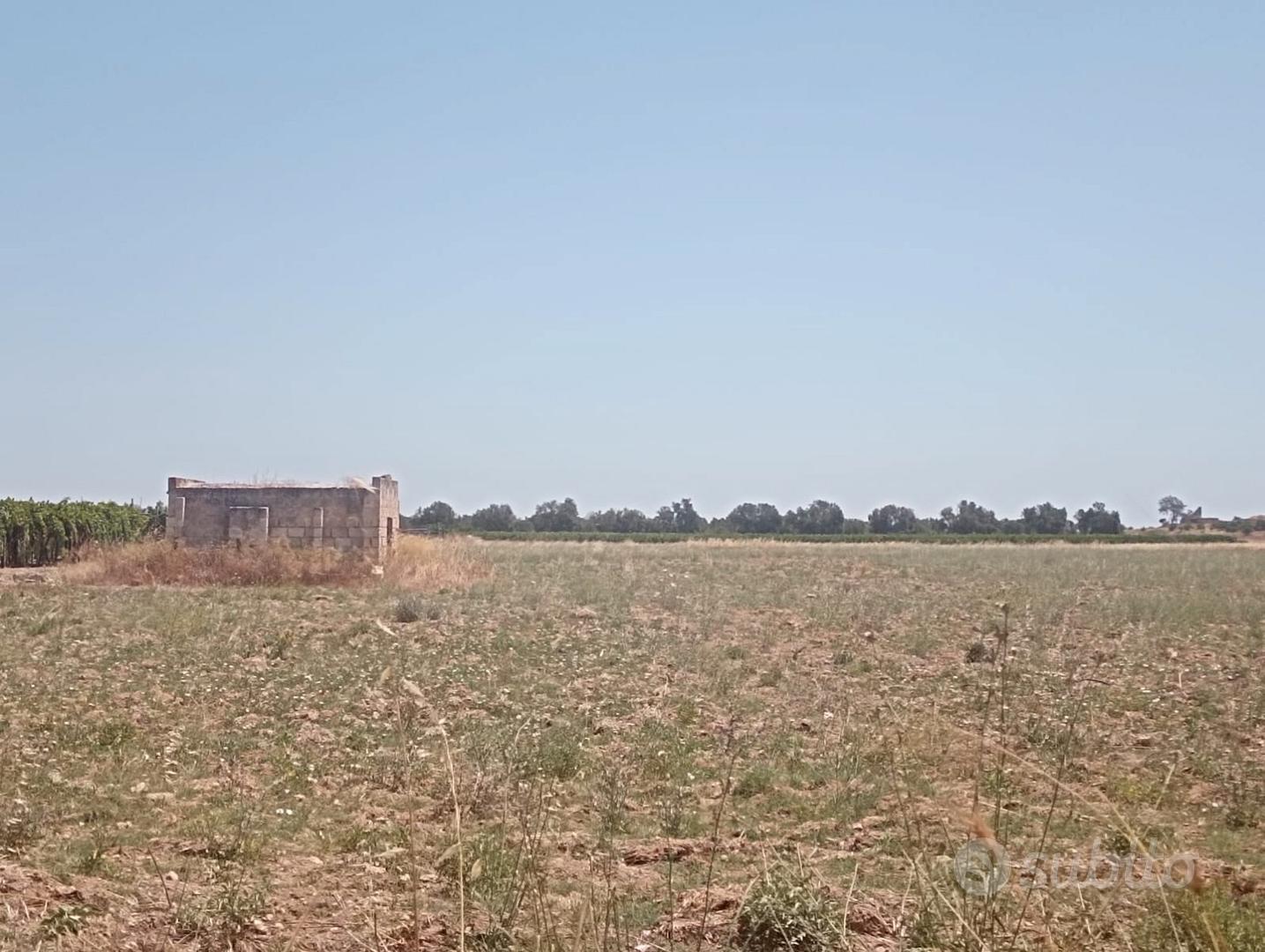 Terreno agricolo mq 22000 a km 1,5 dal mare - Vista 3