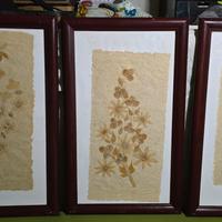 quadri raffigurati fiori secchi thailandesi
