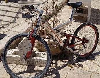 bici MTB