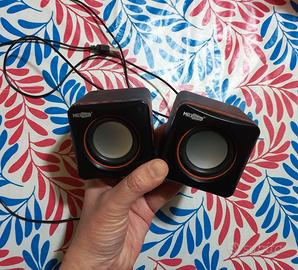 Coppia di Speaker per pc