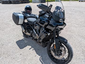 Pan america 1250 s special 