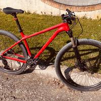 Mtb taglia L