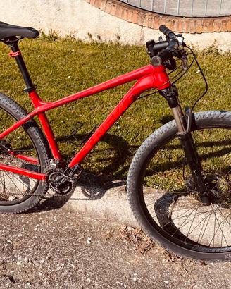 Mtb taglia L