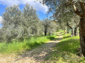 Terreno Residenziale Perugia [Cod. rif 3305067VCG]