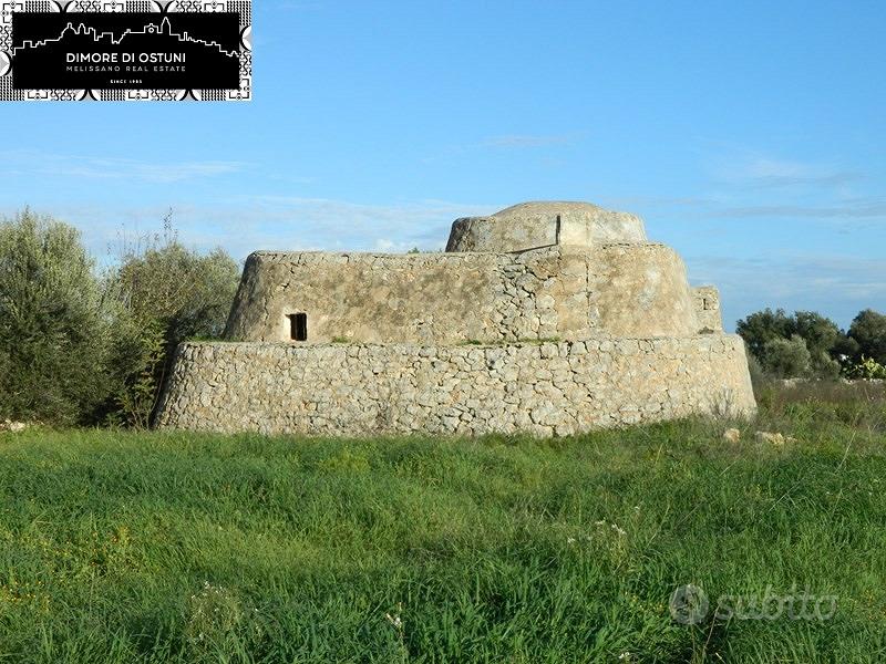 AMPIO TRULLO SARACENO 2 VANI - TERRENO 1,5Ha - Vista 5