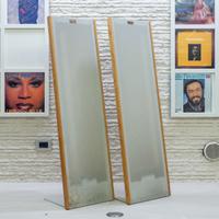 Magneplanar - Diffusori da Pavimento - MMG