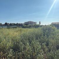 TERRENO 1000MQ Pressi Ylea FL302