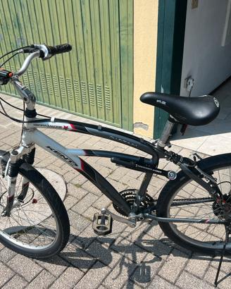 Mountain bike