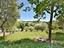 Immagine 27