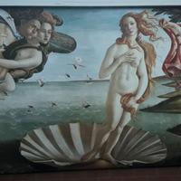 Quadro Venere Botticelli