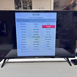 TV LG 32” LED HD –con staffa muro inclusa