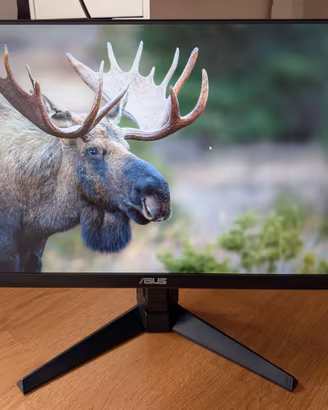 ASUS TUF GAMING MONITOR VG249QML5A 240hz Fast IPS