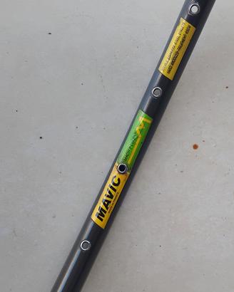Mavic cerchio tubolare