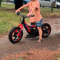 Bici elettrica V2 e-Bike