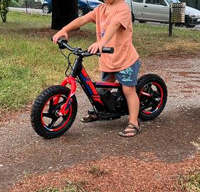 Bici elettrica V2 e-Bike