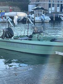 Barca 4.80 + motore + carrello