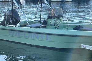 Barca 4.80 + motore + carrello