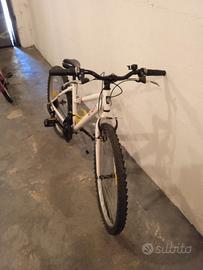 bicicletta monta bike 