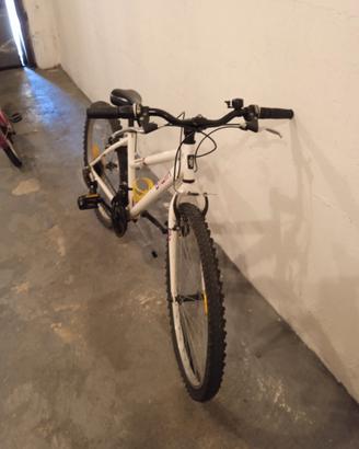 bicicletta monta bike 