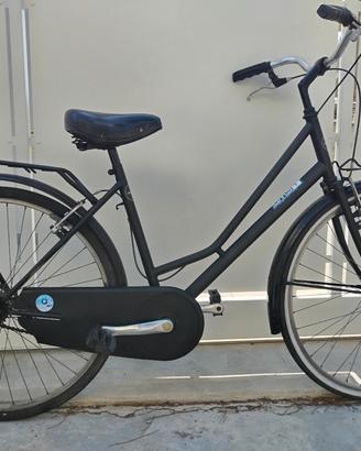 Bici da spiaggia 
