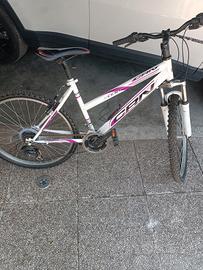 MTB carnielli