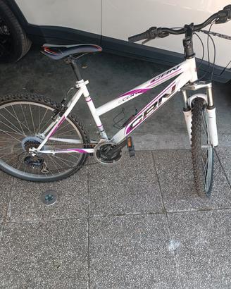 MTB carnielli