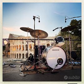 Ludwig Black Panther 