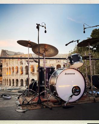 Ludwig Black Panther 