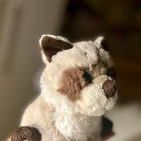 Nuovo! un   procione  x Natale, morbidissimo