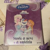 Libro disney frozen